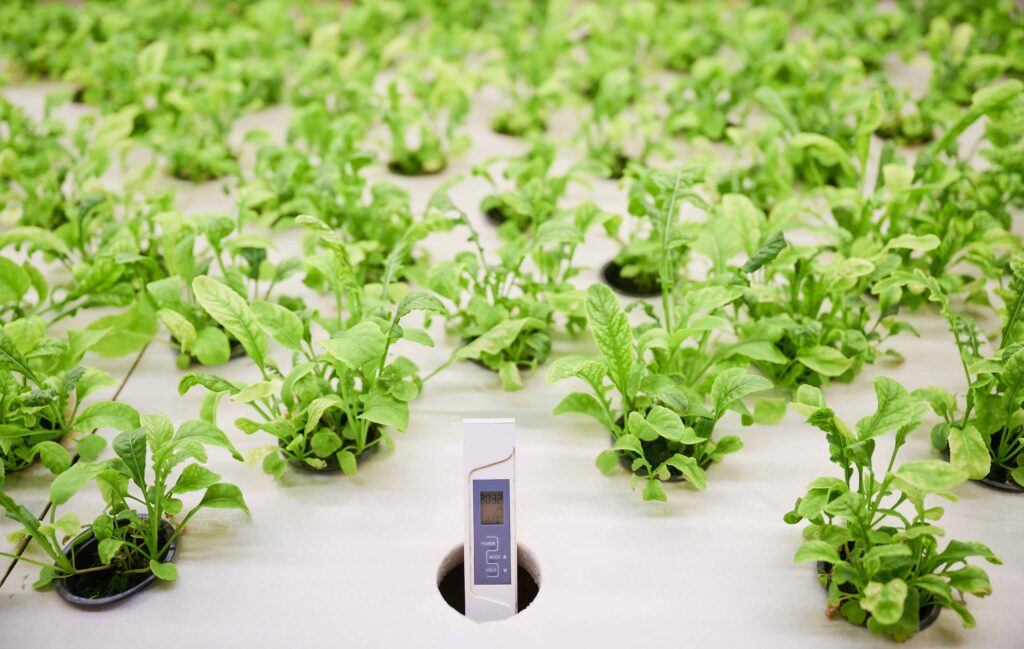 role of water temperature in hydroponics